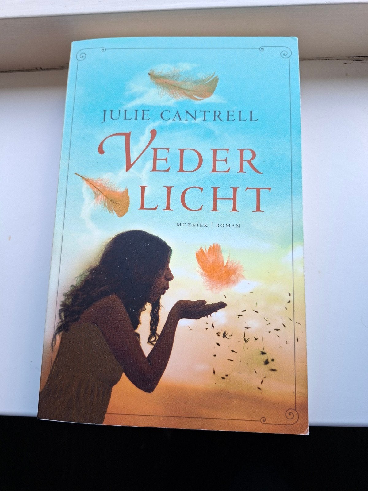Vederlicht - Julie Cantrell (Paperback), Boeken, Romans, Gelezen, Ophalen of Verzenden