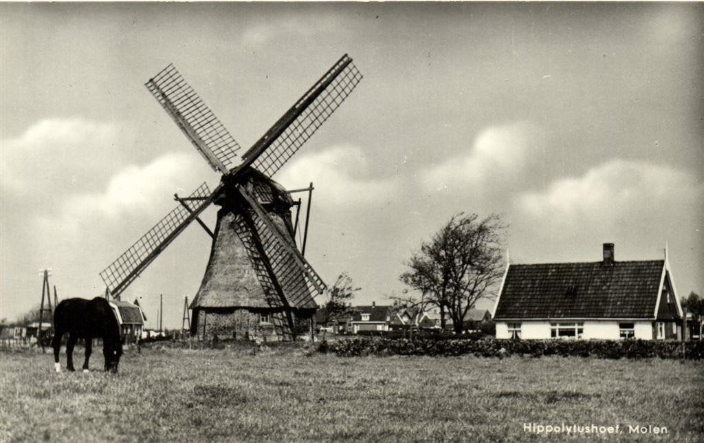 Hippolytushoef, Molen - paard - ongelopen, Ophalen of Verzenden, 1960 tot 1980, Ongelopen, Noord-Holland