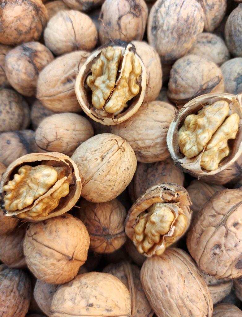 4 kg gedroogde walnoten / walnuts, Ophalen of Verzenden