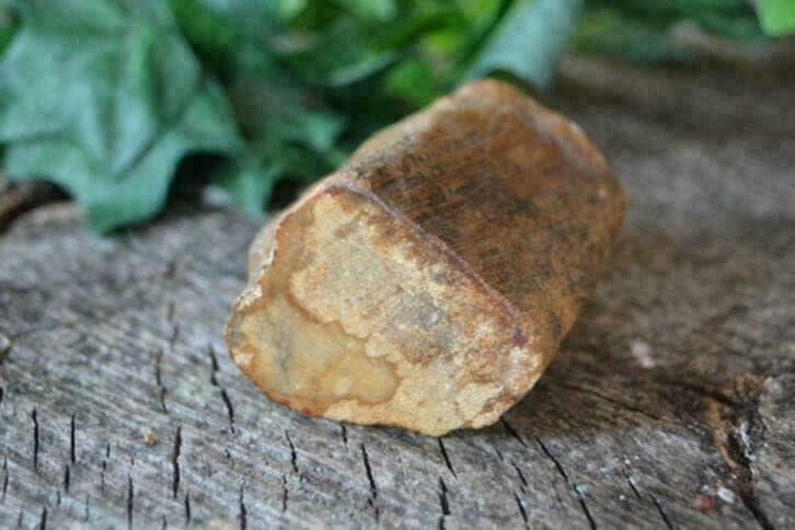 Versteend hout (nr. 4), Ophalen of Verzenden, Mineraal