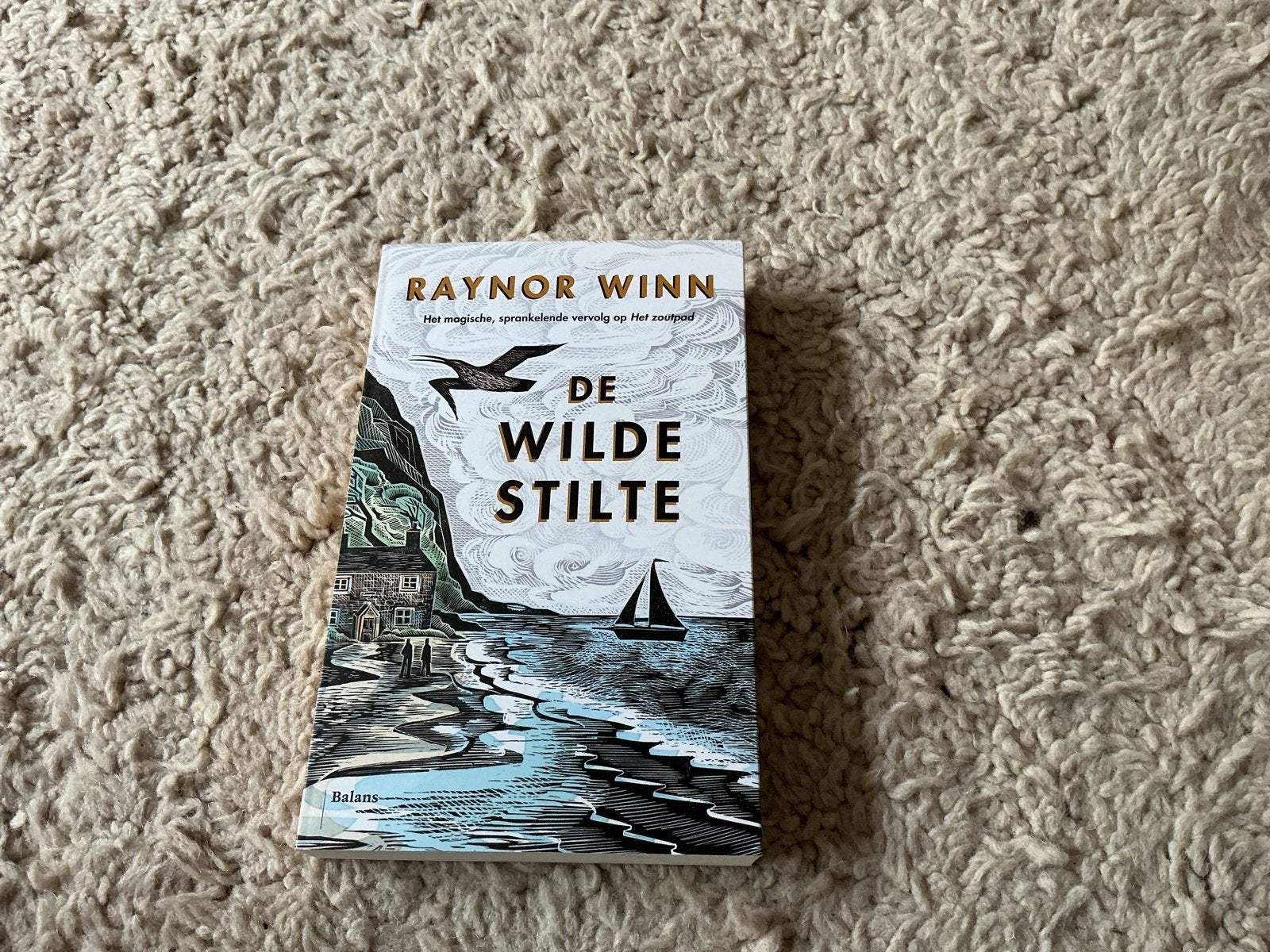 De Wilde Stilte - Raynor Winn  nieuw opbr giro 555, Ophalen of Verzenden, Nieuw, Nederland