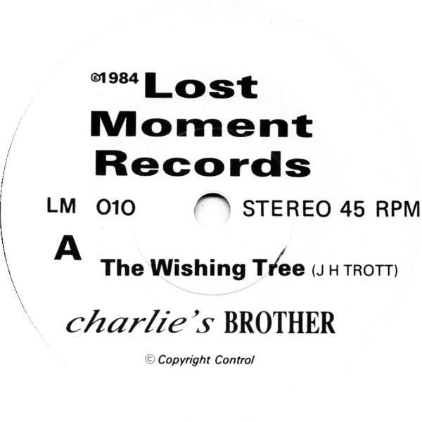 charlies brother / the wishing tree - electronic/punk/synth, Gebruikt, Verzenden, Originele persing, 7 inch