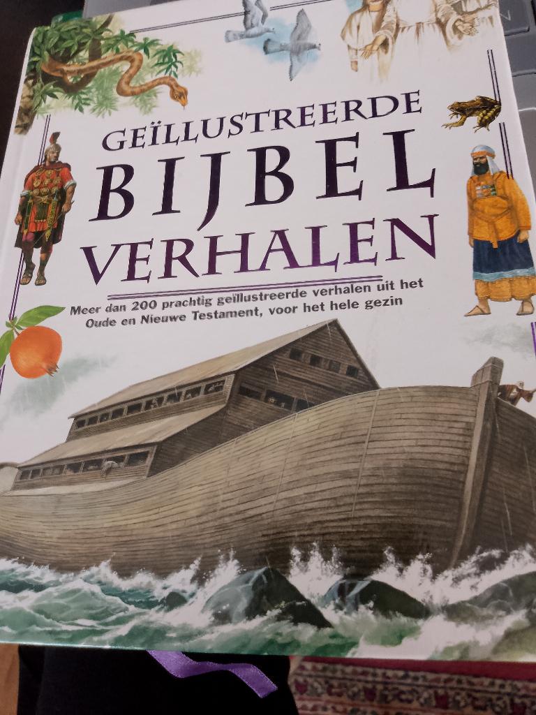 boek geillustreerde bijbel verhalen, Ophalen of Verzenden, Zo goed als nieuw, Fictie algemeen