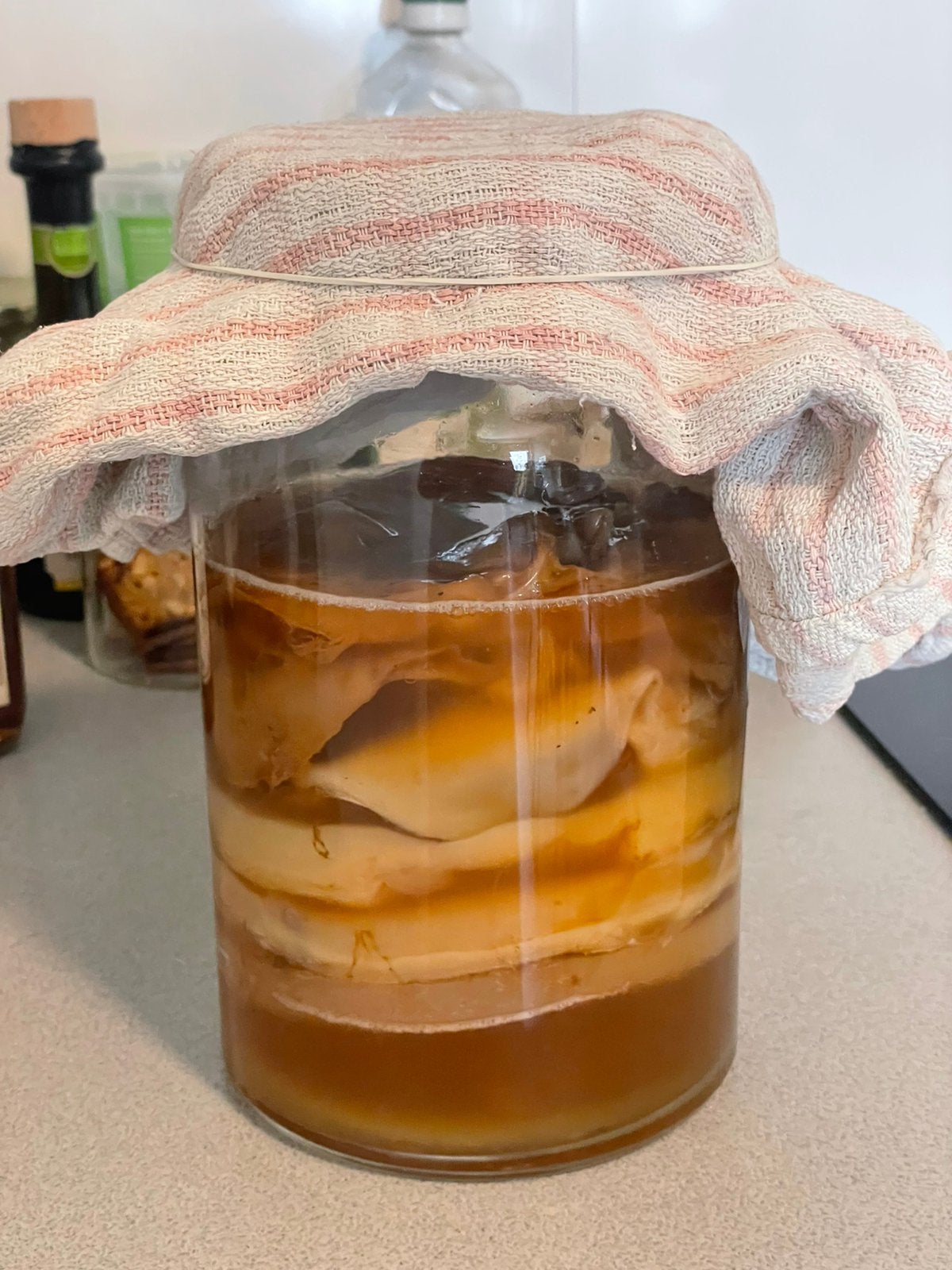 Scoby kombucha (organic), Ophalen