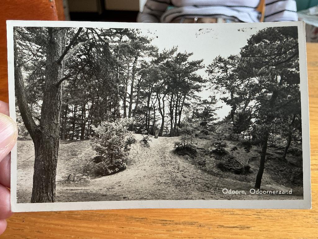 Odoorn, Verzenden, 1940 tot 1960, Gelopen, Drenthe