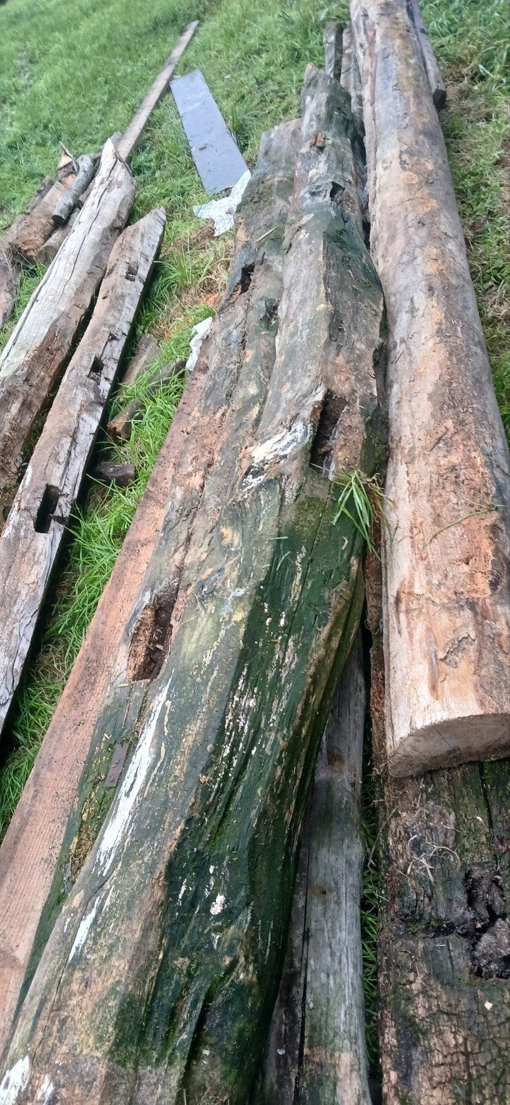 Diverse partij gebruikte houten balken en planken, Ophalen, Gebruikt, 25 tot 50 mm, 300 cm of meer