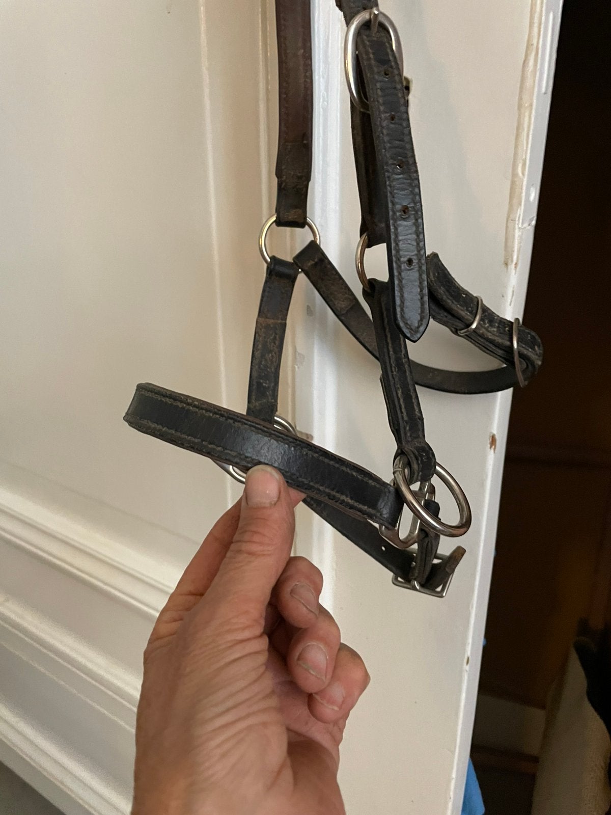 Sidepull leer voor mini, rosborstel, longeerlijn Waldhausen, Gebruikt, Recreatie, Overige typen, Mini