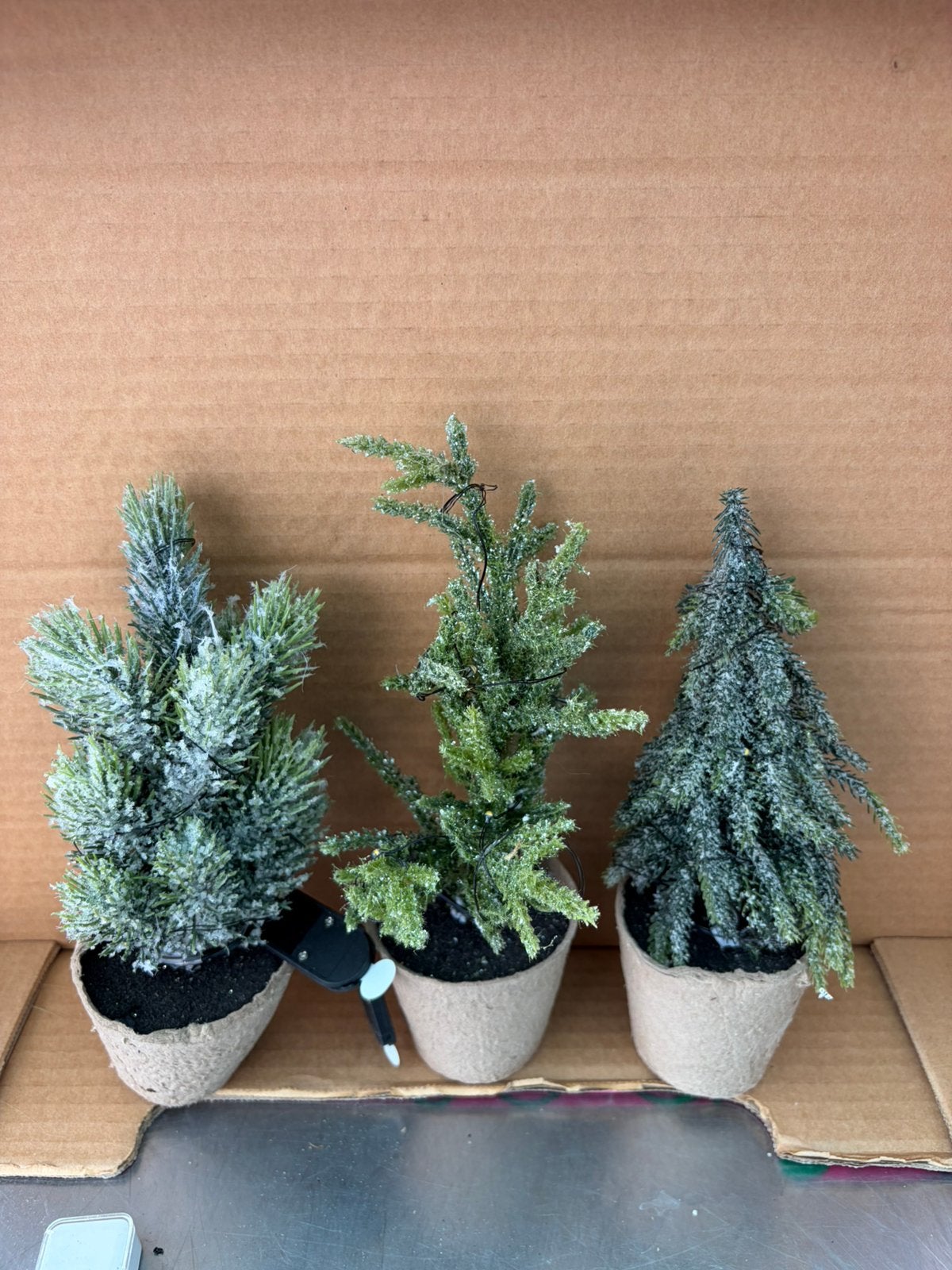 Kerst boompjes partij, Ophalen, Nieuw