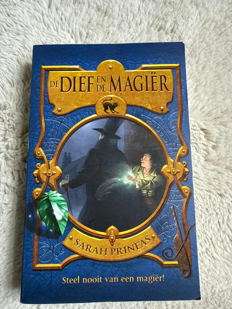 De Dief en de Magiër - Sarah Prineas (Zo goed als nieuw), Ophalen of Verzenden, Zo goed als nieuw, Fictie