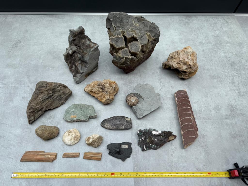 Verzameling fossielen, mineralen en bijzondere stenen, Verzamelen, Ophalen, Fossiel