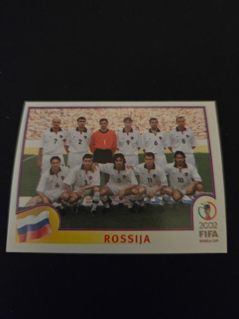 Panini Fifa world cup 2002, Ophalen of Verzenden, Zo goed als nieuw, Buitenlandse clubs, Poster, Plaatje of Sticker