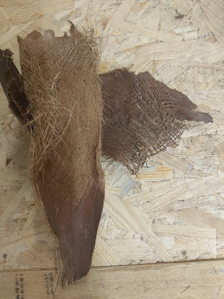 Palm Bark Sheets (Palmboomschors), Overige typen, Nieuw, Ophalen of Verzenden, Onderhoudsvrij