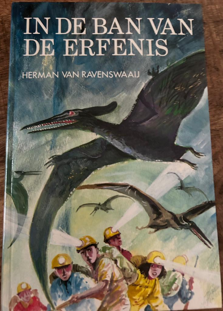 In de ban van de erfenis - Herman van Ravenswaaij, Ophalen of Verzenden, Gelezen
