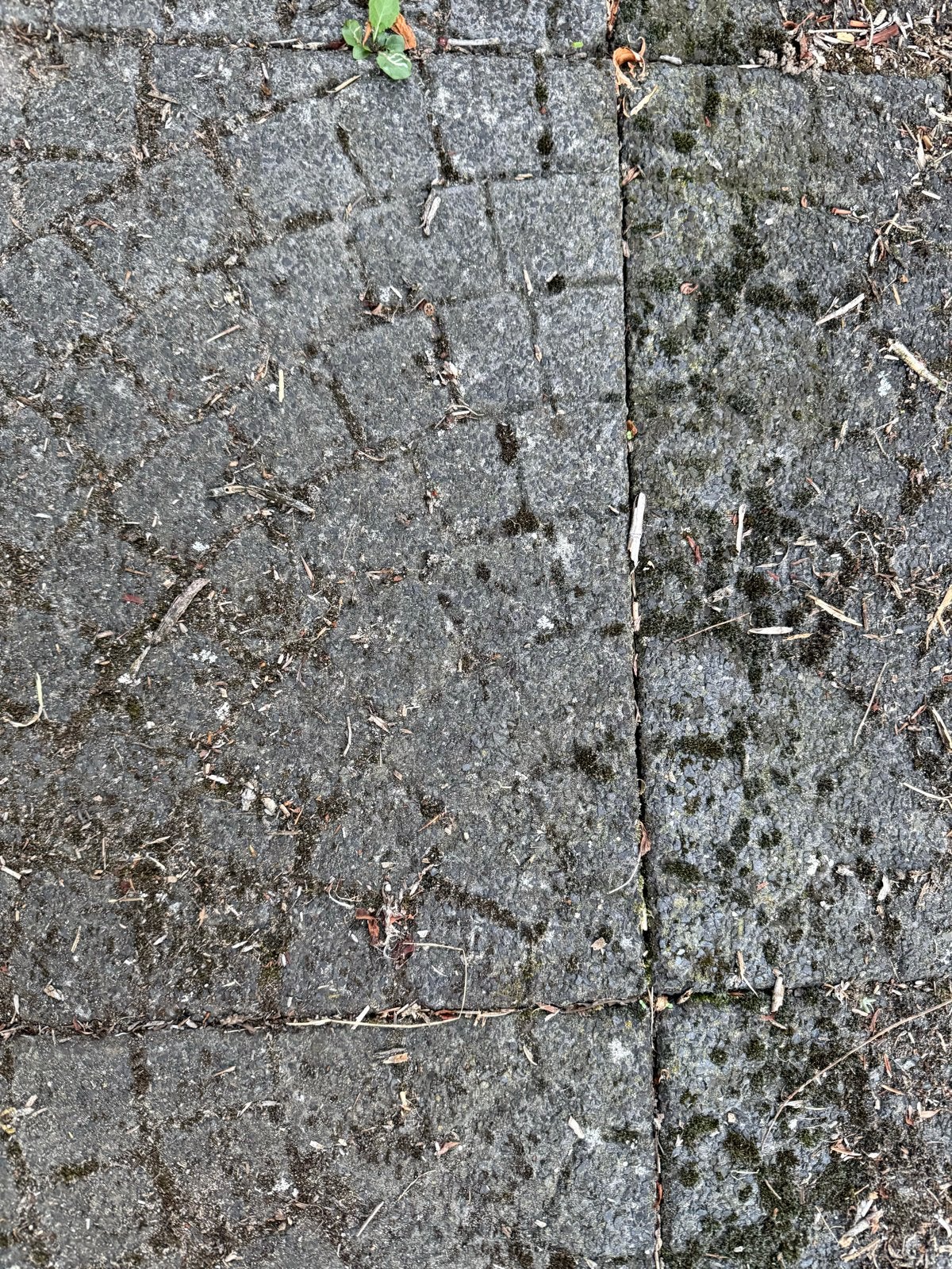 Betontegels 0,5 x 0,5m met kwart cirkel motief, 15m2, Tuin en Terras, Ophalen, Gebruikt, 10 m² of meer, Beton