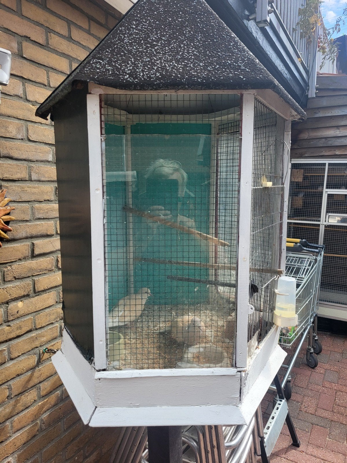 1 stel  tortelduifjes  met  kooi en paal, Ophalen of Verzenden, Zo goed als nieuw, Hout, Vogelkooi