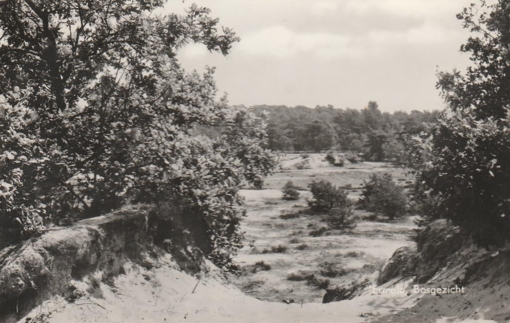 ERMELO Bosgezicht, Verzamelen, Ansichtkaarten | Nederland, Verzenden, 1960 tot 1980, Gelopen, Gelderland