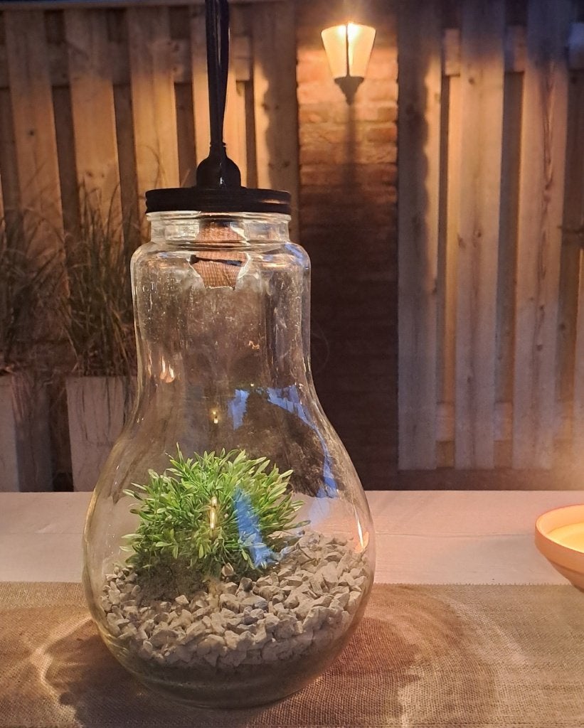 Planten terrarium in gloeilampvorm incl. split en kunstplant, Huis en Inrichting, Ophalen of Verzenden, Zo goed als nieuw, Glas