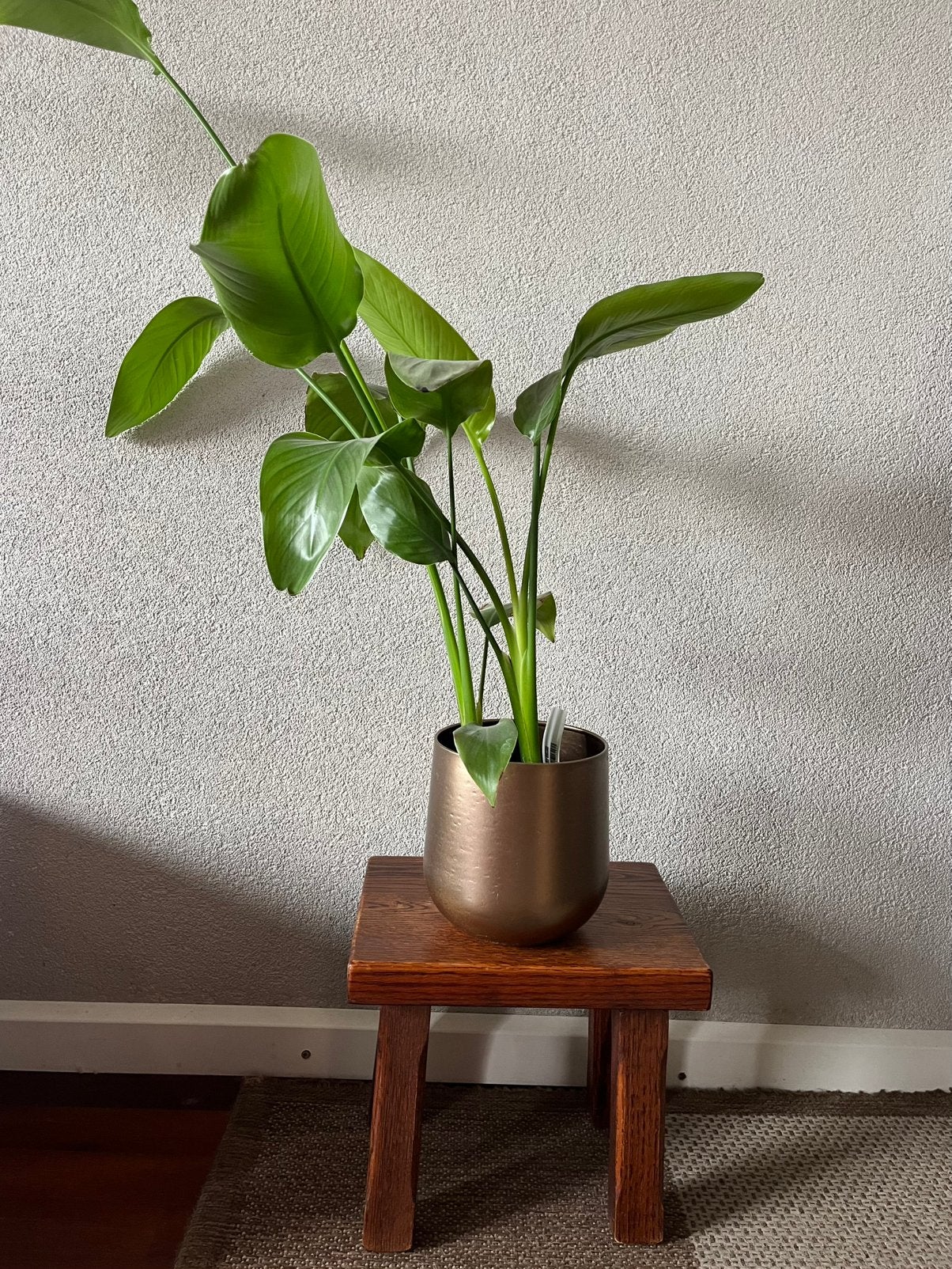 Robuust vintage eikenhouten krukje plantentafeltje, Ophalen of Verzenden, Hout