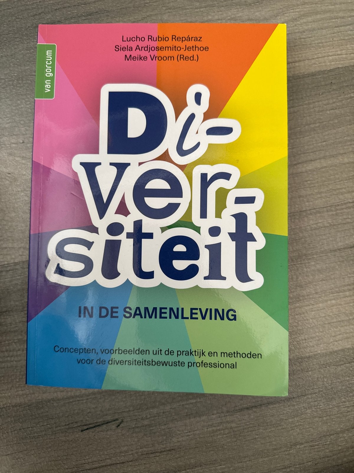 Diversiteit in de Samenleving - Lucho Rubio Reparáz, Boeken, Studieboeken en Cursussen, Ophalen of Verzenden, Gamma, Zo goed als nieuw