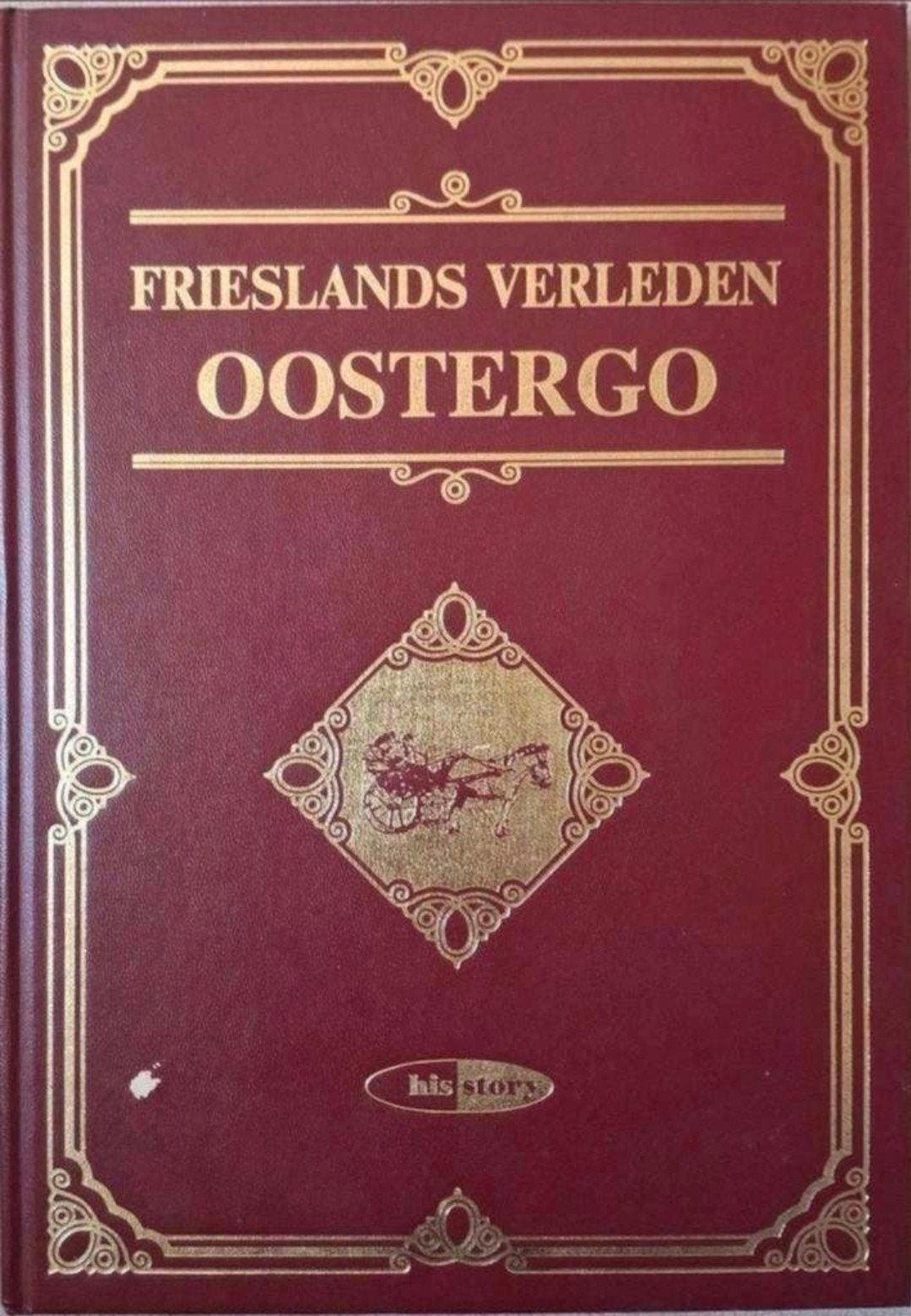Frieslands verleden - Oostergo, Ophalen of Verzenden, 20e eeuw of later, Zo goed als nieuw