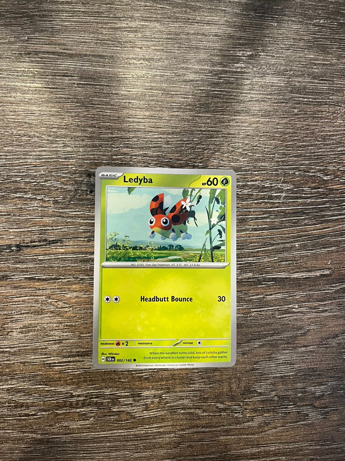 Ledyba SCR 002/142, Ophalen of Verzenden, Zo goed als nieuw