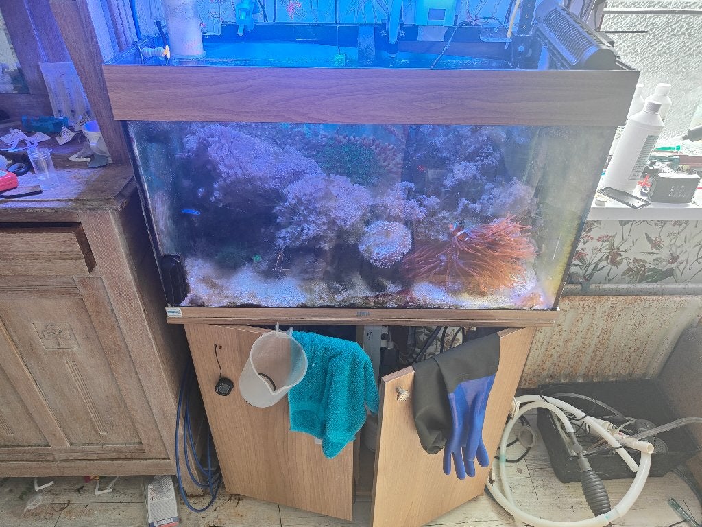 Aquarium met kast, Ophalen, Gebruikt, Leeg aquarium, Juwel