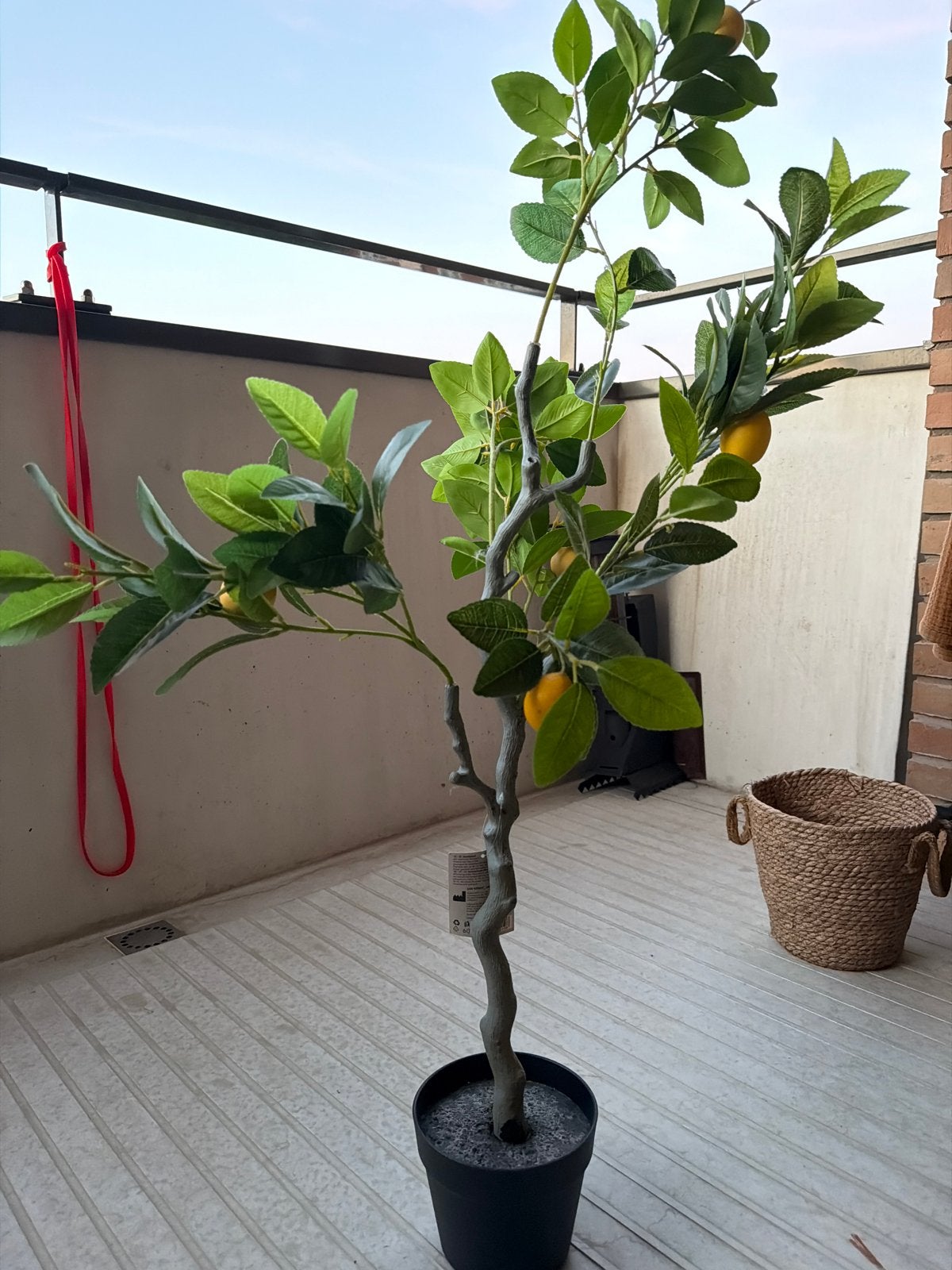 Decoratieve Kunstplant Citroenboom - Realistisch en Onderhou, Volle zon, Vaste plant, Bloeit niet, Ophalen