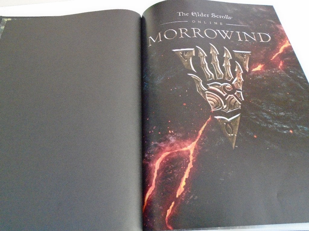 Morrowind Strategy Guide (boek), Online, 1 speler, Nieuw, Ophalen of Verzenden