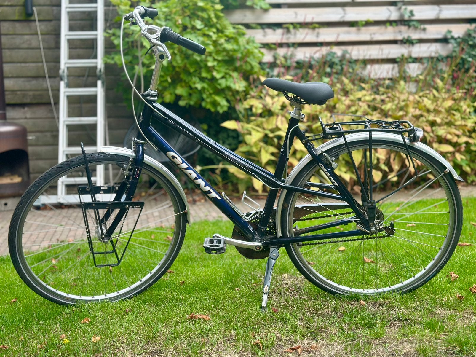 Giant Freerider fiets met pomp, Fietsen en Brommers, Velgrem, Versnellingen, 53 tot 56 cm, Gebruikt