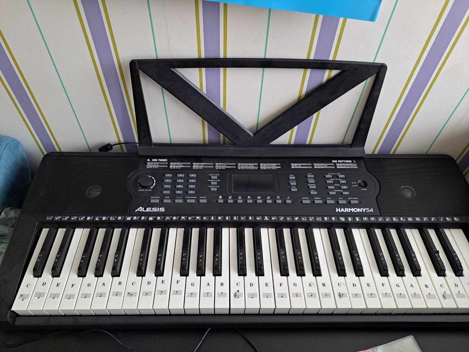 Alesis Harmony 54 Toetsen Keyboard, Overige aantallen, Zo goed als nieuw, Met standaard, Ophalen