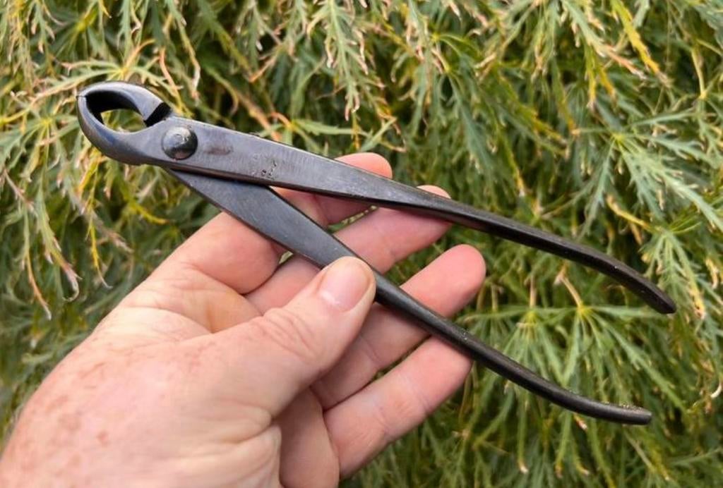 Bonsai Knobbeltang 21 centimeter nieuw Chinees gereedschap., Ophalen of Verzenden, Nieuw