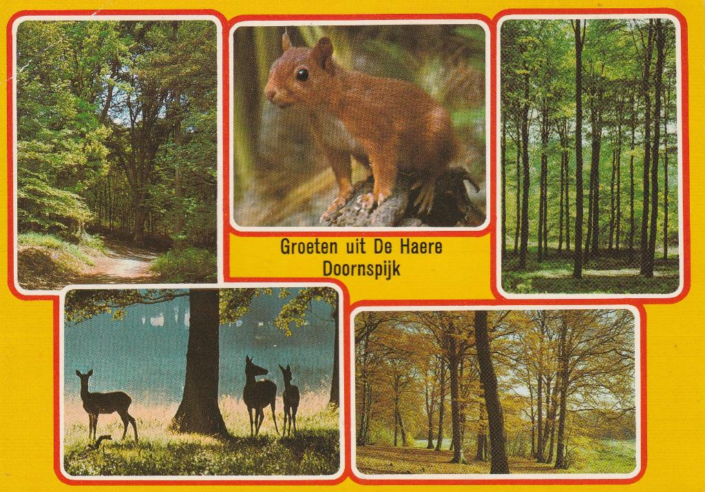 Groeten uit De Haere Doornspijk 1982, Ophalen of Verzenden, 1980 tot heden, Gelopen, Gelderland
