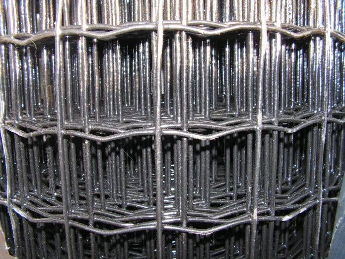 Zwart Eurofence tuingaas | Sterk gaas | 5x5cm | Hoogte 100cm, Ophalen of Verzenden, Nieuw, 20 meter of meer, Gaas