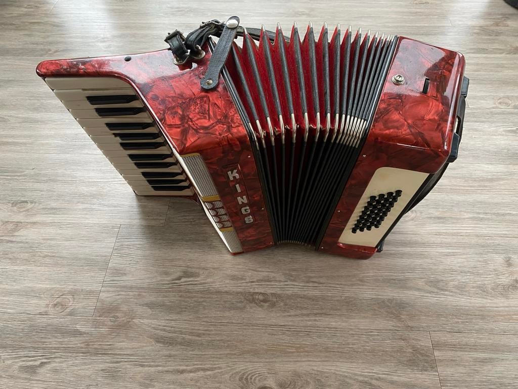 Zelfspelende accordeon MP3, Muziek en Instrumenten, Accordeons, Ophalen, Gebruikt, Overige merken