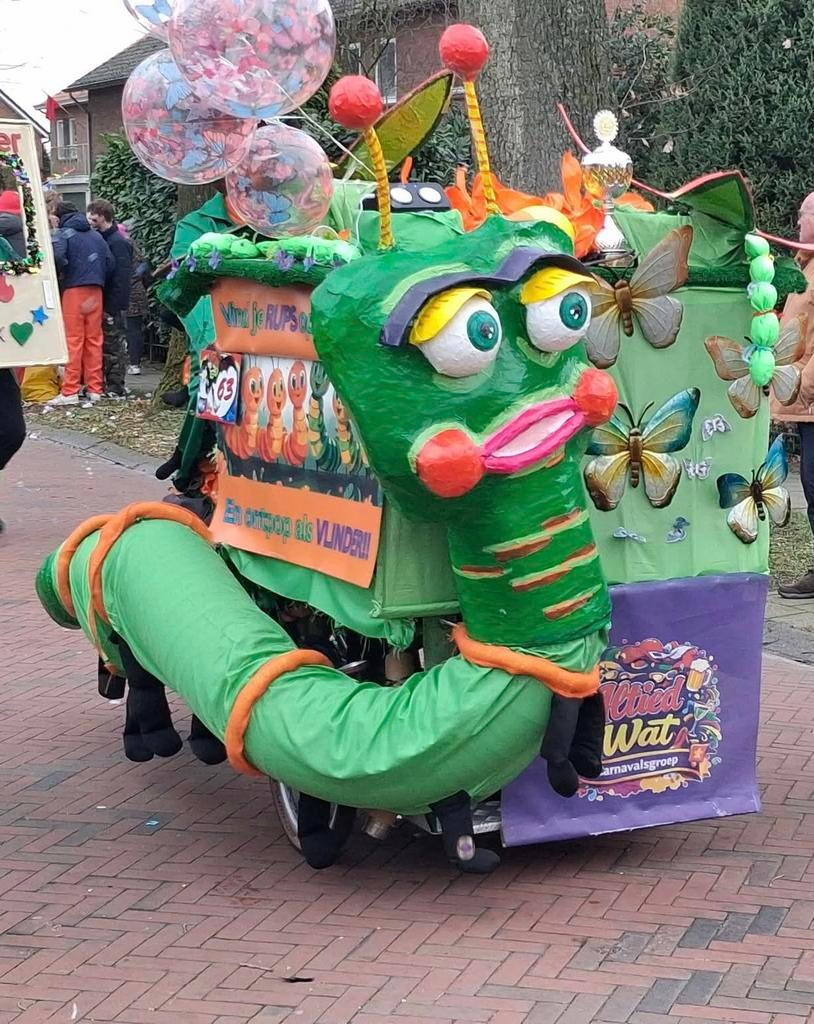 Carnaval loopgroep Rupsen & Vlinders prijswinnend & uniek!, Ophalen, Zo goed als nieuw, Carnaval