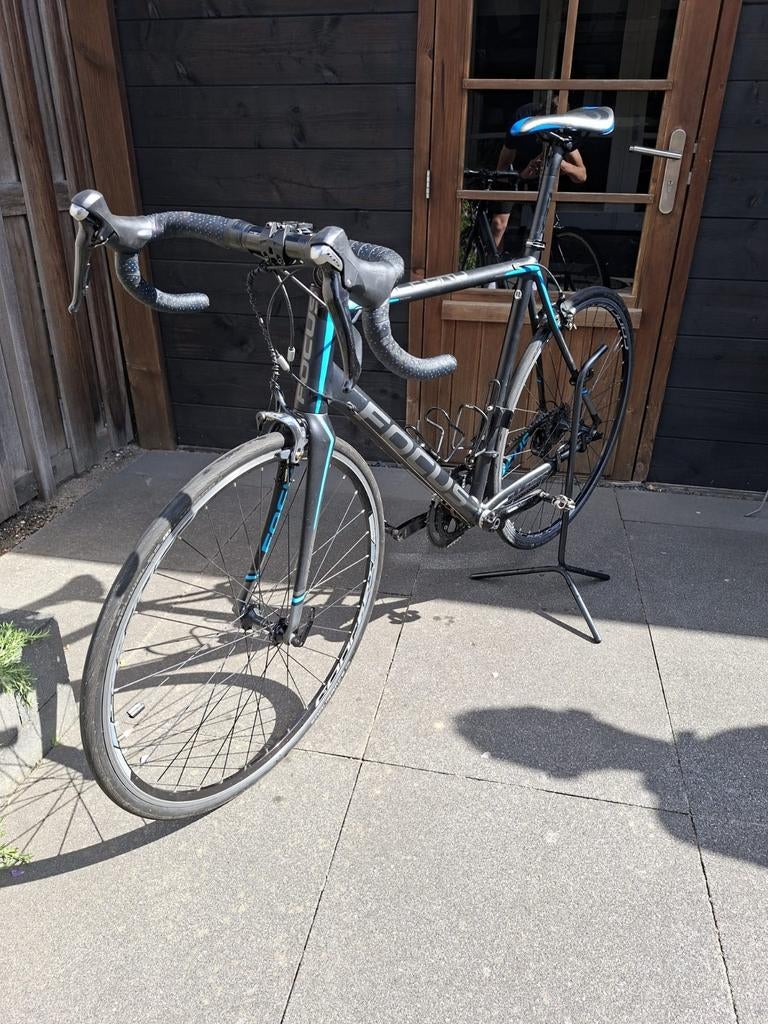 Prachtige racefiets Focus, Aluminium, Zo goed als nieuw, Meer dan 20 versnellingen, Ophalen