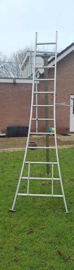 Eurostairs Plukladder enkel uitgebogen 1x12 sporten, Ophalen, 4 meter of meer
