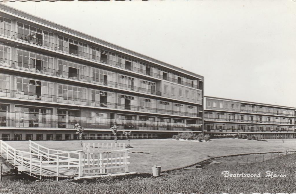 haren- beatrixoord, Ophalen of Verzenden, Voor 1920, Groningen