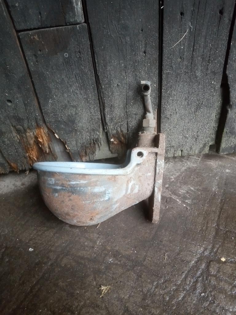 zelfdrinker, Dieren en Toebehoren