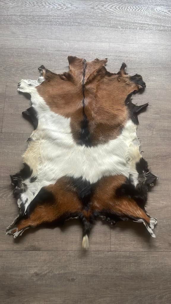 Dierenvacht dierenhuid, Ophalen of Verzenden, Zo goed als nieuw, Rechthoekig, 50 tot 100 cm