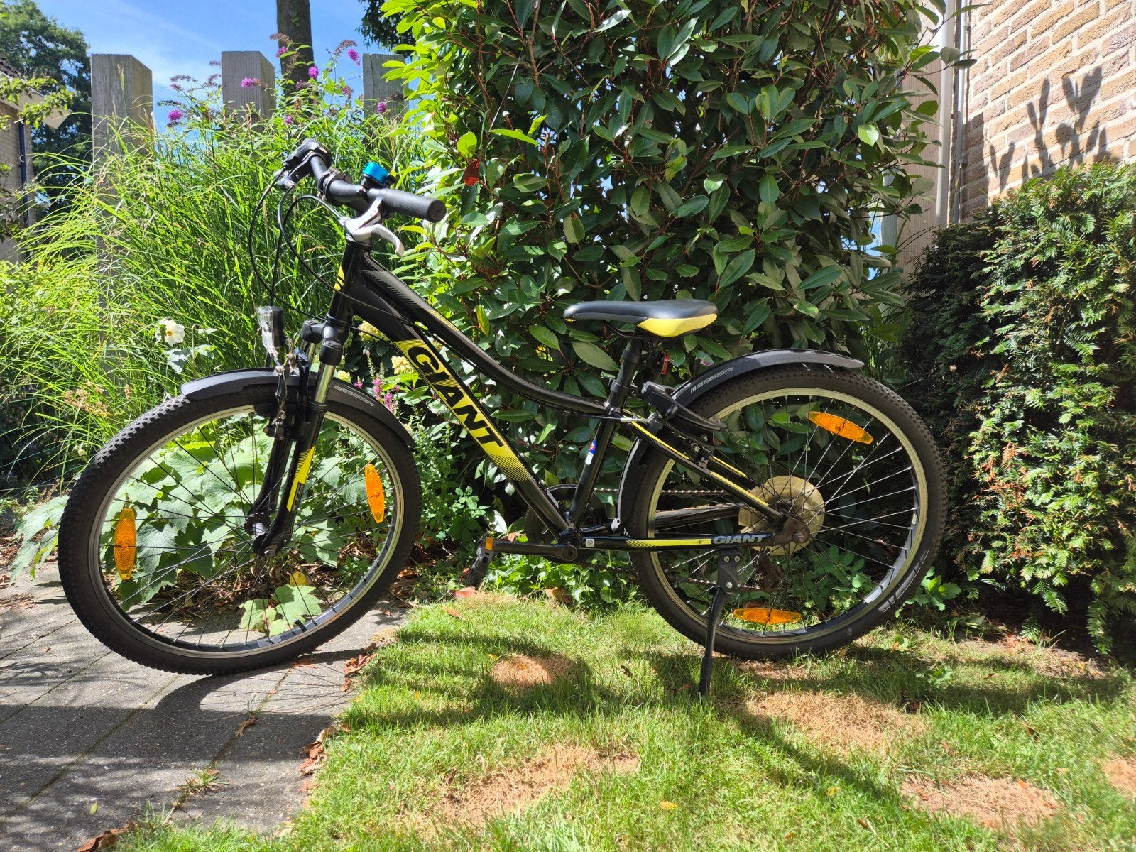 Giant 24 inch mountainbike, Ophalen, Velgrem, Versnellingen, Giant