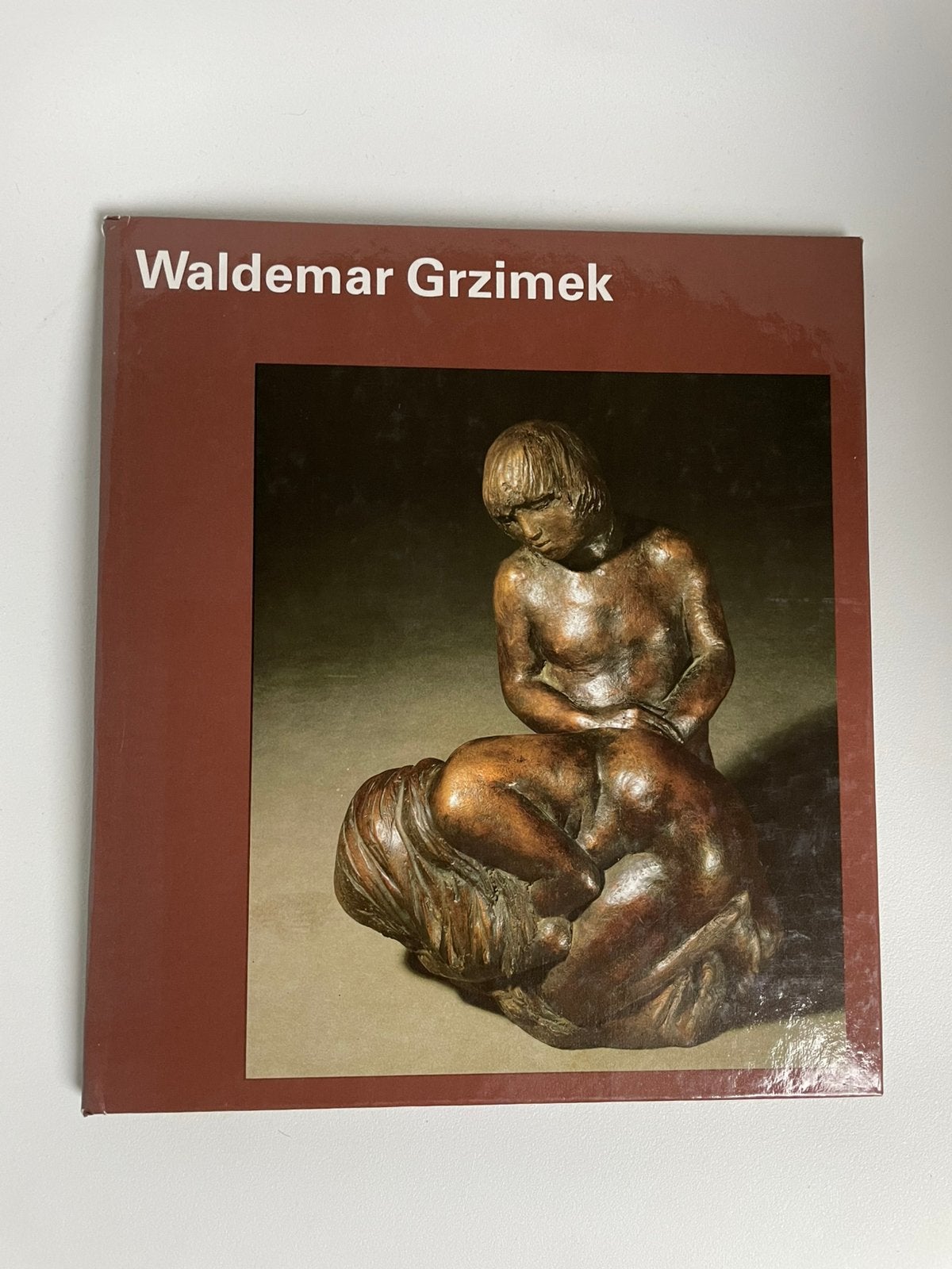 kunstboek Waldemar Grzimek (1918-1984), beelden, hardcover, Ophalen of Verzenden, Gelezen, Beeldhouwkunst