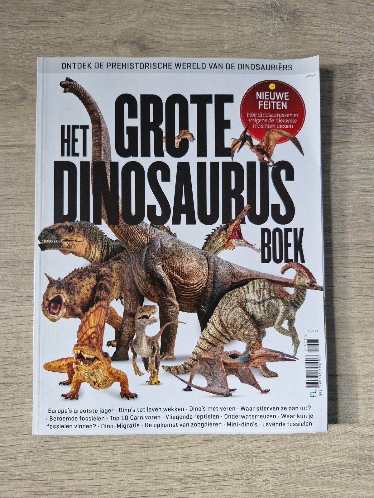 Het Grote Dinosaurus Boek - Ontdek de Prehistorie, Boeken, Ophalen of Verzenden, Zo goed als nieuw