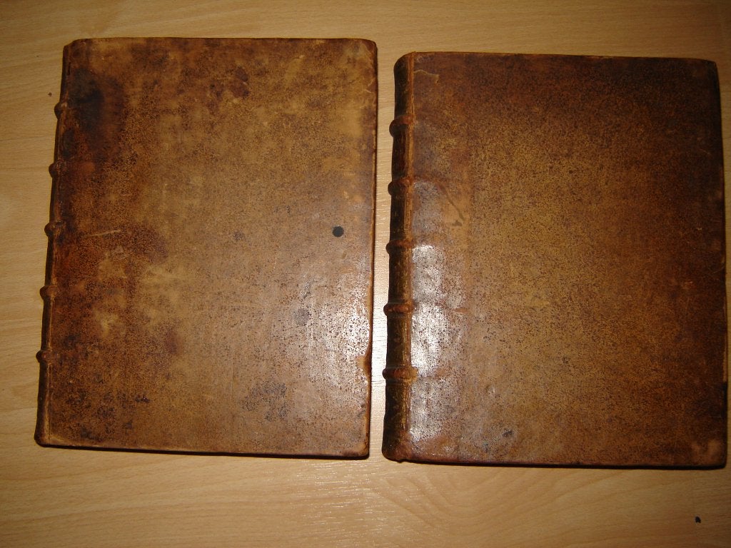 1723 Nederduitsche Sprake, Antiek en Kunst, Antiek | Boeken en Bijbels, Ophalen