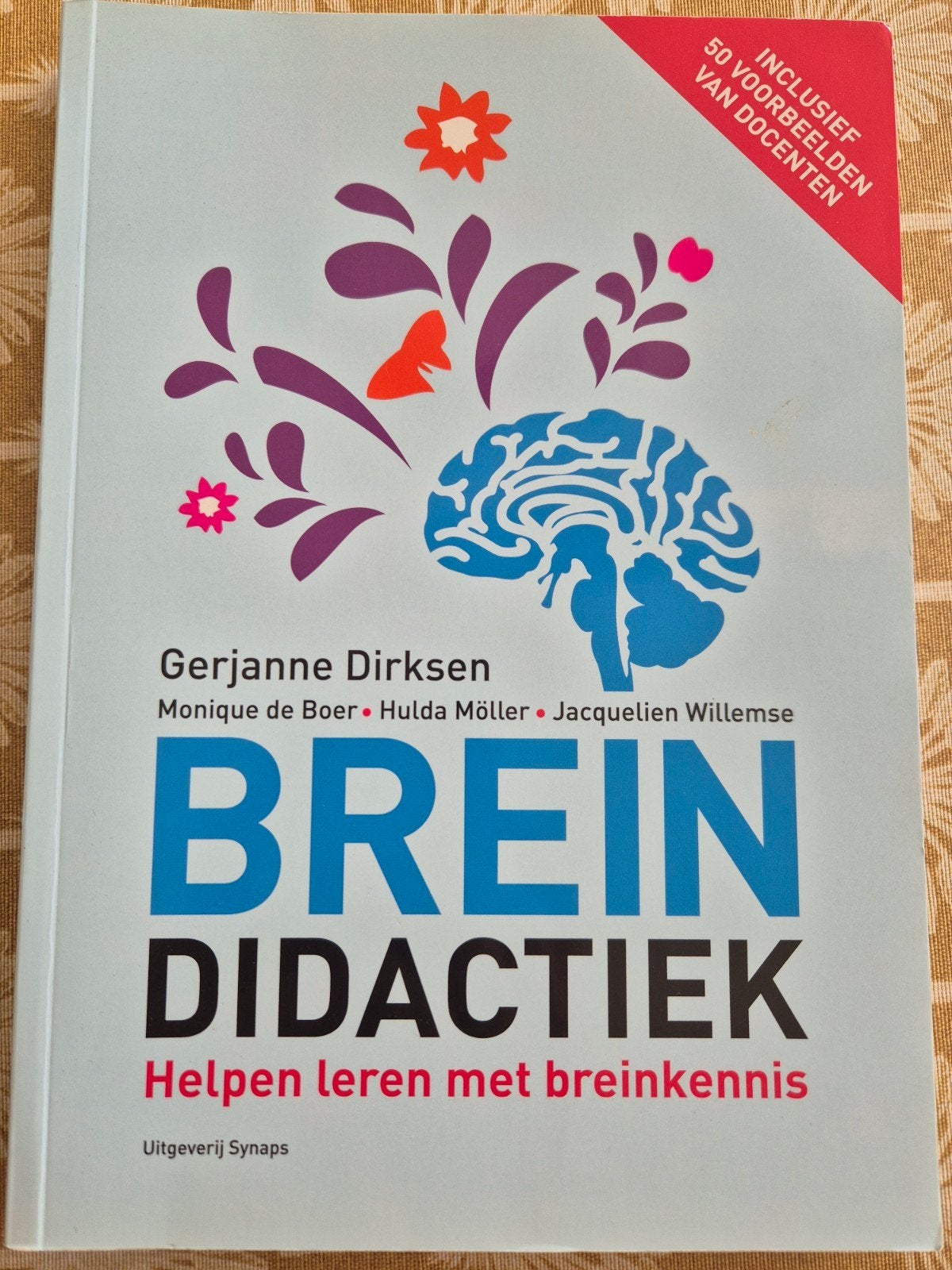 Breindidactiek - Gerjanne Dirksen, Ophalen of Verzenden, Alpha, Zo goed als nieuw, HBO