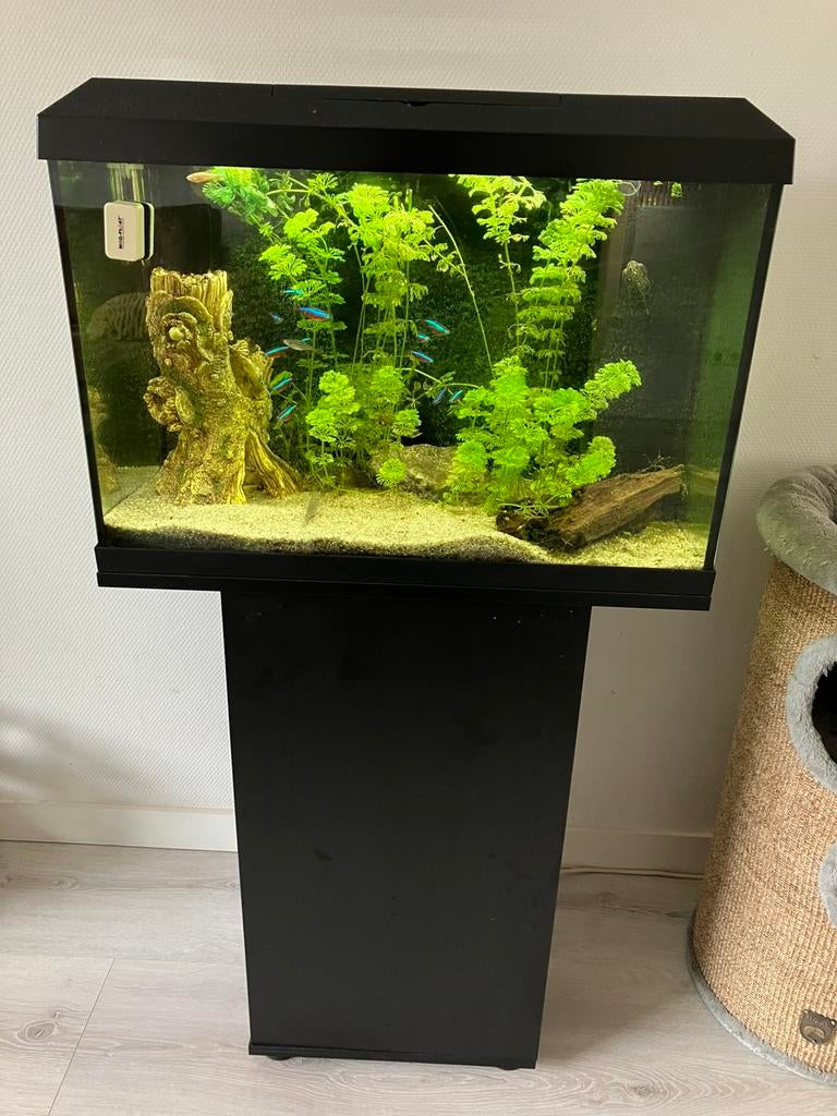 Juwel primo  70L led aquarium compleet, Ophalen, Zo goed als nieuw, Gevuld zoetwateraquarium