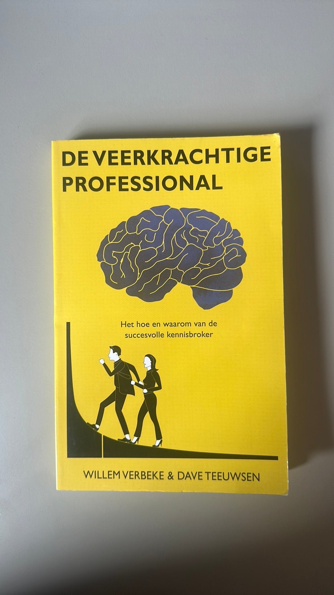 De veerkrachtige professional, Ophalen of Verzenden, Zo goed als nieuw