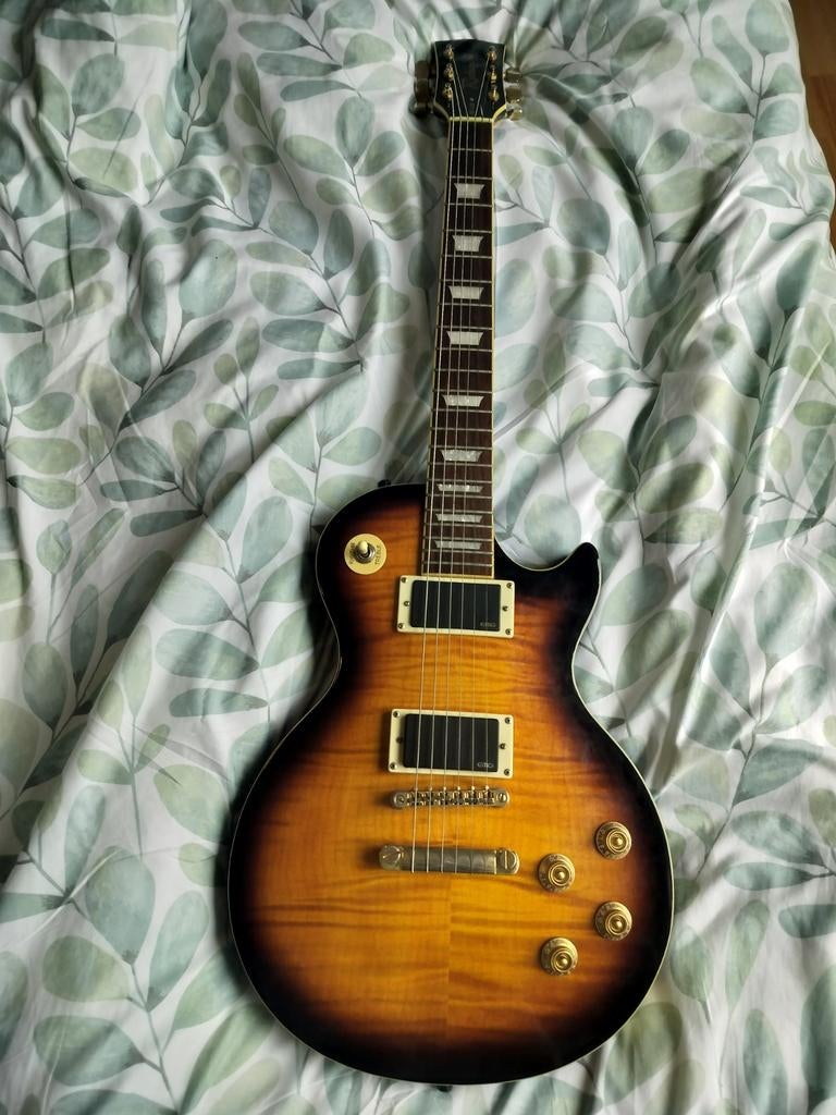 Richwood Les Paul met EMG Zakk Wylde pickup set, Ophalen, Gebruikt, Solid body, Overige merken
