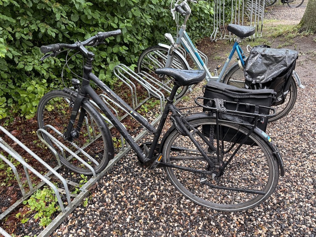stevens cityflight maat 50- shimano nexus 8, Gebruikt, Velgrem, 50 tot 53 cm, Ophalen