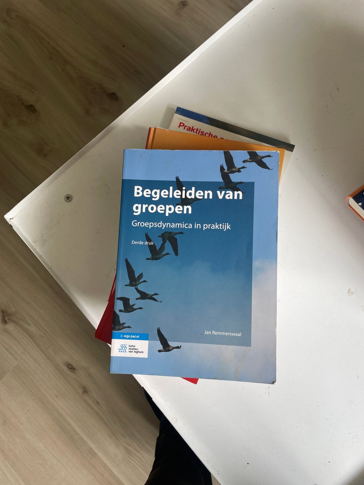 Begeleiden van groepen - Groepsdynamica in praktijk, Ophalen of Verzenden, Gamma, Zo goed als nieuw, HBO
